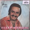 sadece-kapak-_-recep-kaymak-_-ne-sevdi-95-2c9.jpg