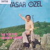 sadece-kapak-_-yasar-ozel-_-bak-yesil--55-8d0.jpg