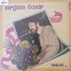sadece-kapak-ergun-ozer-anilar-plak-ka-f-8dd0.jpg