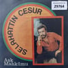 selahattin-cesur-ask-mahkumu-seni-alla-49b-77.jpg