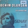 senay-benim-olursan-sev-kardesim-tr45k-38c-4b.jpg