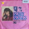 senay-senses-maden-dagi-ali-emmi-tr45k-6aa-d1.jpg