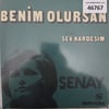 senay-sev-kardesim-benim-olursan-tr45k-9f4d7f.jpg