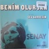 senay-sev-kardesim-benim-olursan-tr45k-d9-435.jpg