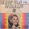 serap-mutlu-akbulut-kirk-yillik-dost-g-16-a9c.jpg