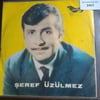seref-uzulmez-bana-bir-pir-dedikikusei--48de-.jpg
