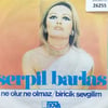 serpil-barlas-ne-olur-ne-olmaz-biricik-7d21a1.jpg