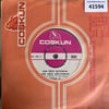 sukran-ay-her-gece-iciyorum-sevemedim--3c0682.jpg