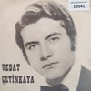 vedat-cetinkaya-capkin-kadinzilli-tr45-58-dfa.jpg
