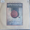 whitesnake-slip-of-the-tongue-his-mast-32d5-4.jpg