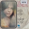 yasemin-kumral-agla-agla-askini-soyle--46b-91.jpg