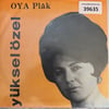 yuksel-ozel-bekliyorum-yolunu-sallasan-c-a708.jpg