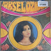 yuksel-ozkasap-derdime-dermana-geldim--42eb03.jpg