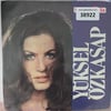 yuksel-ozkasap-havada-bulut-yok-vanliy-f696bb.jpg