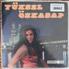 yuksel-ozkasap-nere-gidem-gonul-senin--ab2869.jpg
