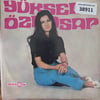 yuksel-ozkasap-turkiyeme-bir-ben-donem-fa2b8a.jpg