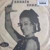 zerrin-zeren-bostur-dunya-olmek-var-do-ef5e0a.jpg