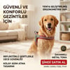 Doglife Köpek Bel Tasması Mbeden