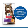 hillshills-feline-sensitive-skin-tavuk-35f349.jpg