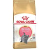 royal-canin-british-shorthair-kitten-y-c715a-.jpg