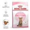 royal-canin-kitten-sterilised-kisirlas-fa16-4.jpg