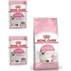 royal-canin-kitten-yavru-kuru-kedi-mam-298830.jpg