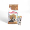 royal-canin-persian-adult-yetiskin-ira-bd5840.jpg