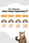 Tahılsız Yetişkin Kuru Kedi Maması (Perfect Maintenance) - Somonlu ve Enginarlı – 10 KG
