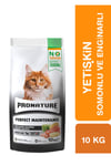 Tahılsız Yetişkin Kuru Kedi Maması (Perfect Maintenance) - Somonlu ve Enginarlı – 10 KG