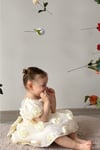 Kız Bebek Kız Çocuk Kısa Kollu Sırt Detay Fiyonklu Özel Gün Doğum Günü Parti Düğün Bayramlık Elbise