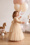 Pearly Long Rose Uzun Kollu Prenses Elbise - Ekru