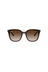 Ray-Ban RB4423D 66mm 714/13 Unisex Güneş Gözlüğü