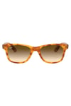 Ray-Ban RB4640 50mm 647551 Unisex Güneş Gözlüğü