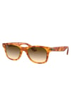 Ray-Ban RB4640 50mm 647551 Unisex Güneş Gözlüğü