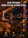 5 Metre Şeffaf Kablo LED Peri Işığı 50 Ampullü Dekoratif Led Yeni Nesil