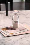 Bardak Blender Smoothie Meyve Sıkacağı Şarjlı Cam Taşınabilir