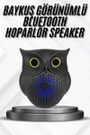Bluetooth Hoparlör TWS Kablosuz RGB Işıklı Dekoratif Taşınabilir Baykuş