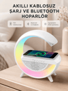 Kablosuz Şarjlı Bluetooth Hoparlör ve Gece Lambası – NFC, FM Radyo, RGB Işık