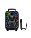 Karaoke Hoparlör RGB LED Işıklı USB FM Radyo Destekli Taşınabilir Speaker