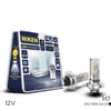 LED ZENON XENON SOLO SERI 12V/32W H7 3800LM 8000K