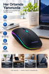 Pg9009 MOUSE
