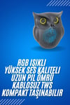 Siyah Bluetooth Hoporlör Baykuş Speaker Bluetooth 5.0 Bağlantılı