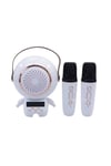 XM-X66 KARAOKE MİKROFON
