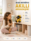 Yapay Zeka Çocuk Robotu Türkçe İngilizce Matematik Fen Ders Desteği Hikaye ve Şiir Özellikli