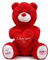 1028 SEVİMLİ AYI 80 CM KIRMIZI