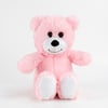 2222 MİNİK AYI 24 CM PEMBE