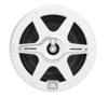 Club Marine 6.5