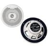 DN-6001TW 150W Marine Hoparlör