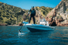 Recon™ 24v/36v 72'' Sanal Çapa