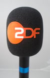 Mikrofon Süngeri Logo Baskısı